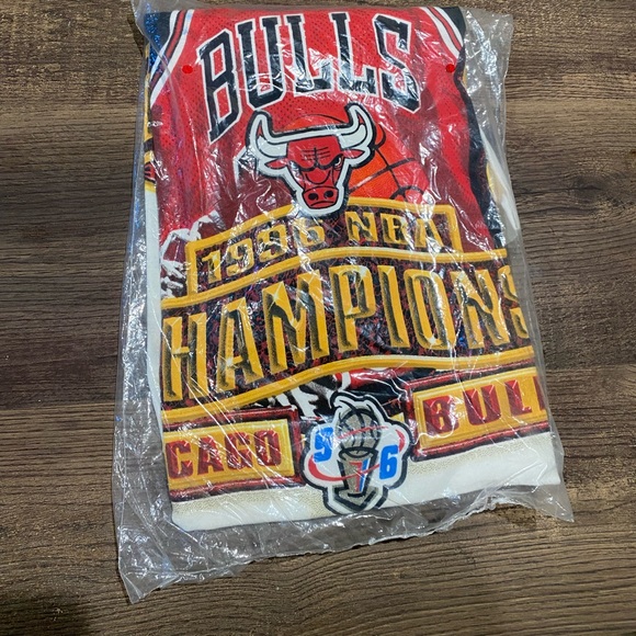 VINTAGE 1996 CHICAGO BULLS CHAMPS CREWNECK - Picture 5 of 6